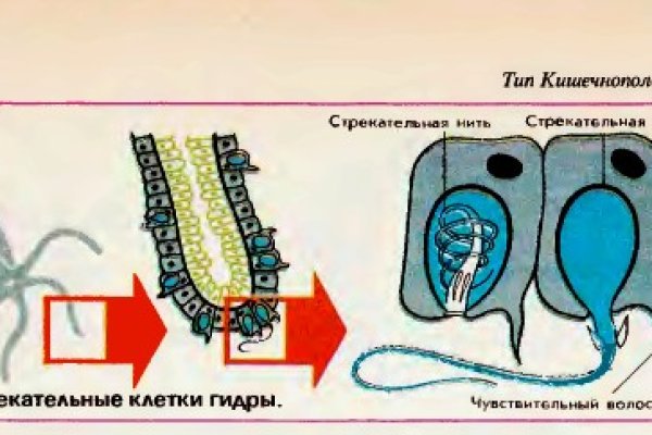 Через какой браузер можно зайти на кракен