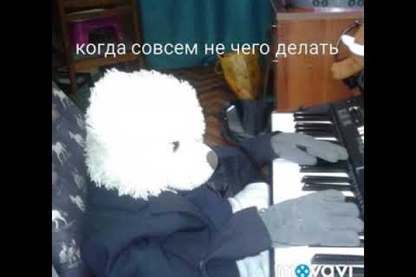 Кракен точка