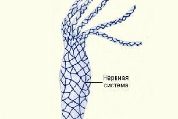 Кракен зайти