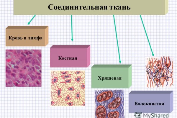 Кракен последние ссылки