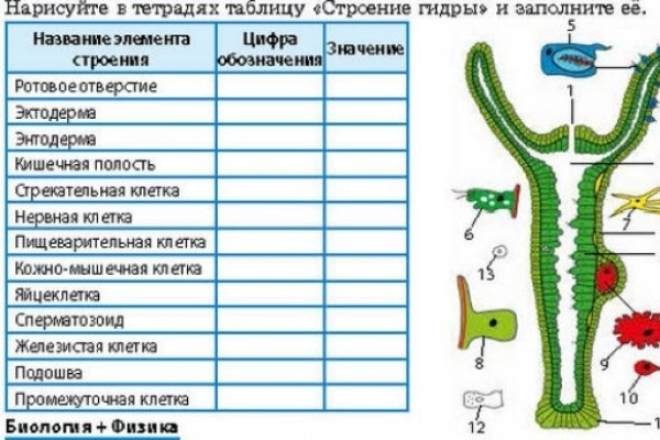 Маркет кракен маркетплейс