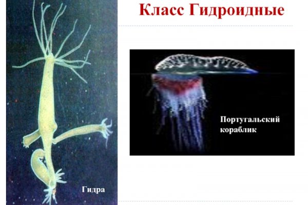 Kra34at