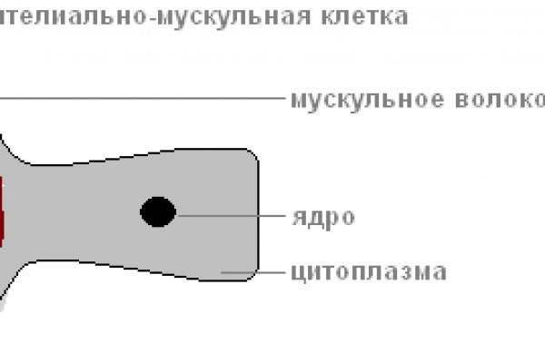 Магазин кракен даркнет сайт