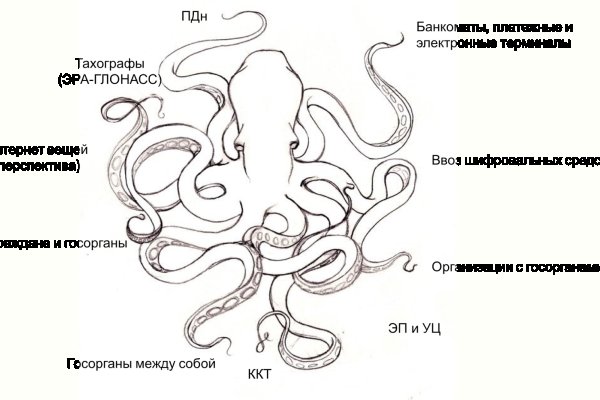 Kraken onion ссылка